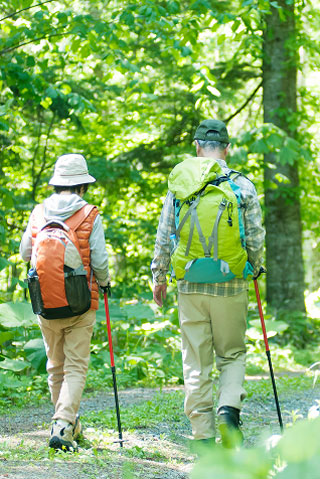 新緑の中をハイキングする二人の登山者