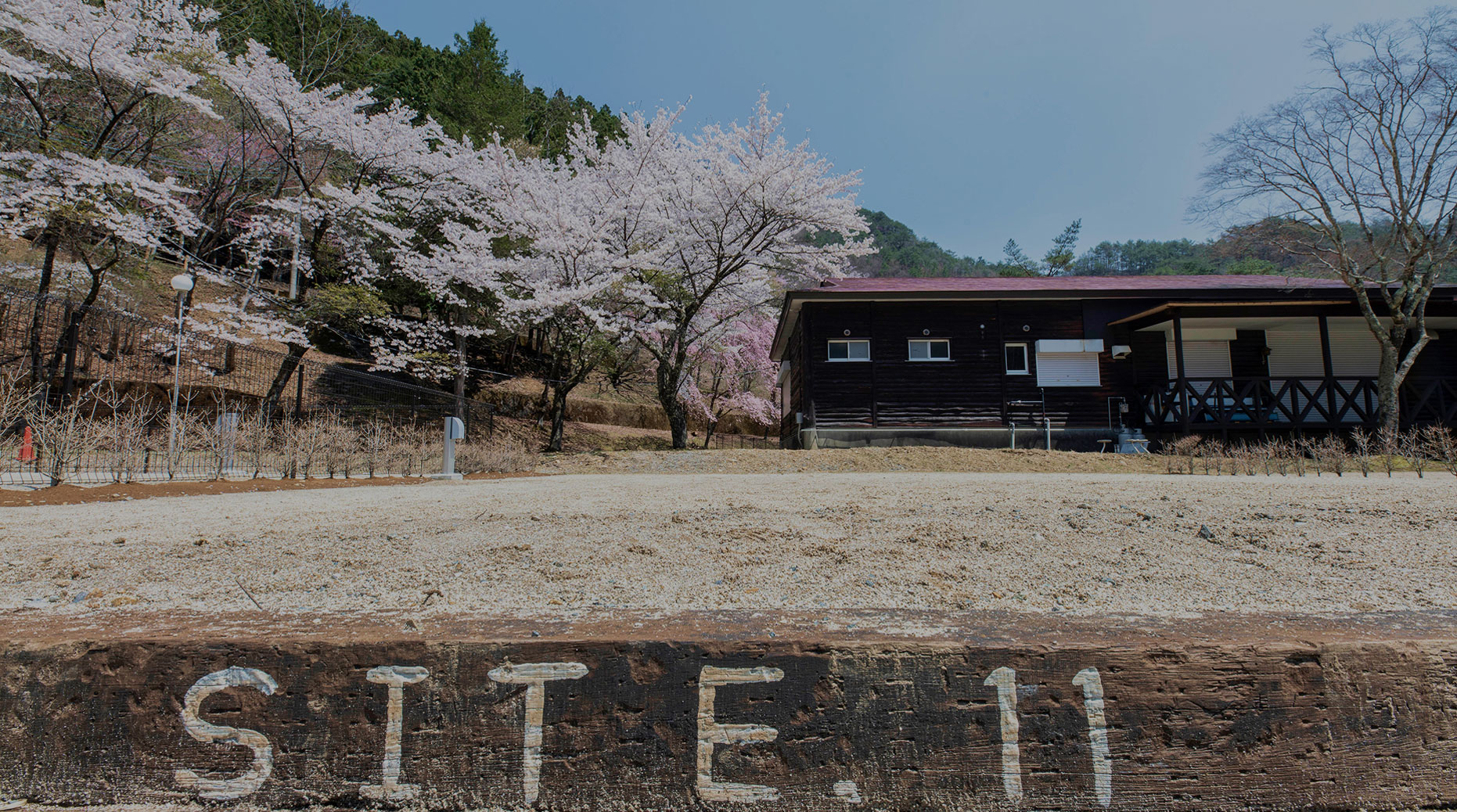桜の咲く春の風景とレトロな列車駅