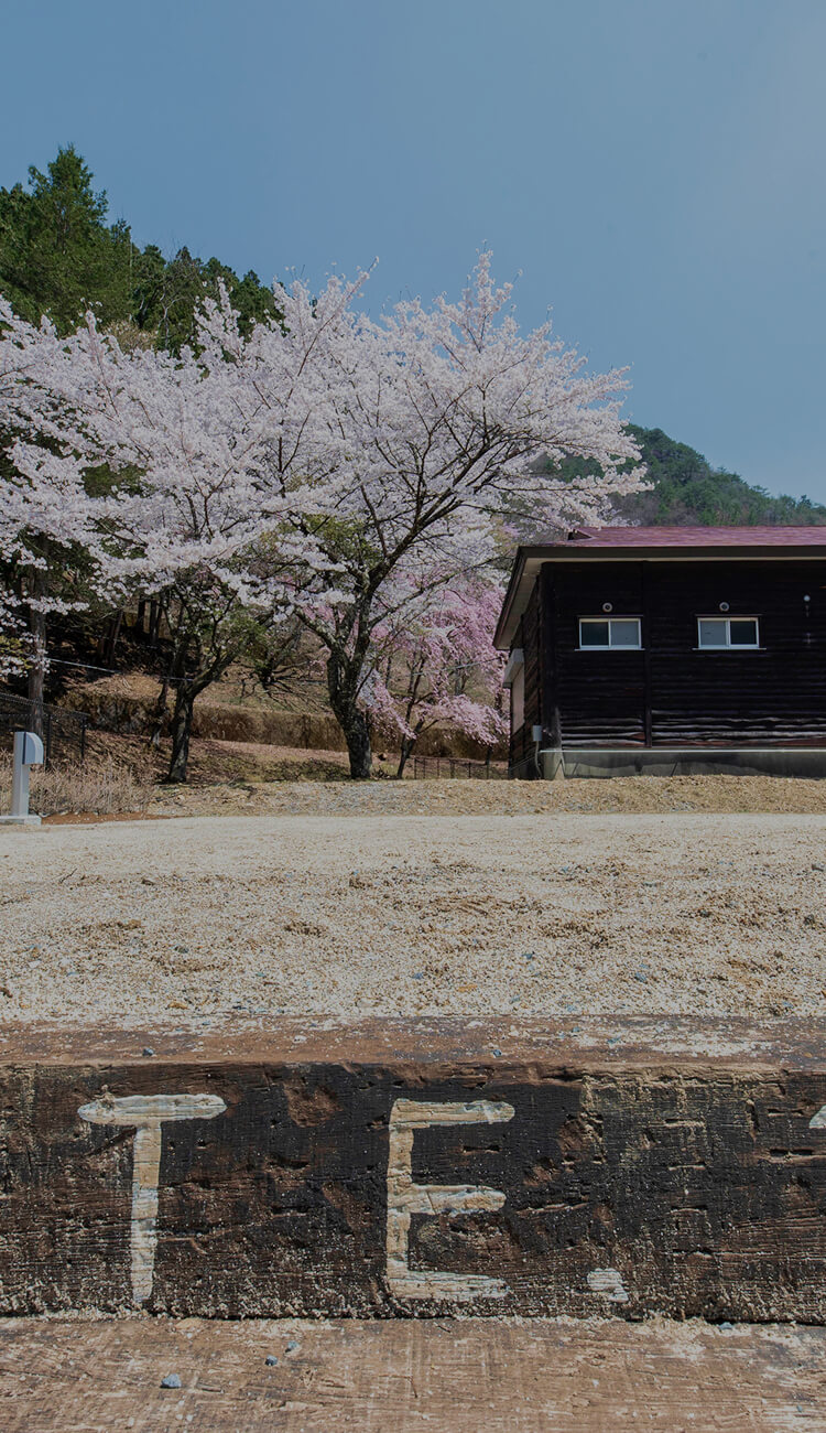 桜の咲く春の風景とレトロな列車駅